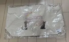 Item thumbnail for item 9b55ee83-9cf1-4e62-b1dc-29d77be6f4e4