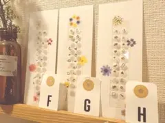 ●3種類追加です●続《お好きに。乙女》AからEもお選び頂けます