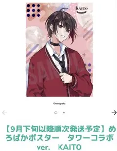 めろんぱーかー サマーフェスティバル KAITOストーリーグッズセット