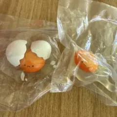 殻からの脱出 2個セット