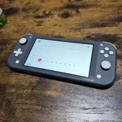 d*9様 d*2様 #9884 Nintendo Switch Lite 本体 d*9様 d*2様 #9884 Nintendo Switch Lite 本体 - メルカリ