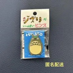 ジブリがいっぱいピンズ　となりのトトロ　大トトロ　はすのせ
