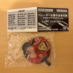 【小川智大選手】バレーボール男子日本代表 うちわアクリルチャーム ガチャガチャ