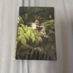 JIMWAG 特典　平成フラミンゴ　NICOポストカード