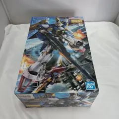 MG 1/100 ウイングガンダム XXXG-01W 「新機動戦記ガンダムW」