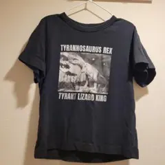 ユニクロ　恐竜 Tシャツ 110