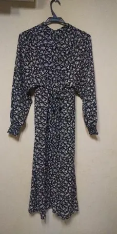 Item thumbnail for item 95f72534-4baf-48c4-82af-5cbc3b6fe9f7