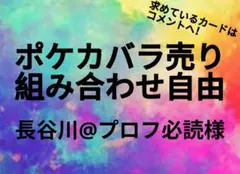 長谷川@プロフ必読様専用