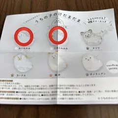 うちの子のけだまだま