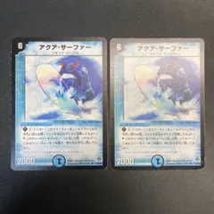 31218 アクア・サーファー アクアサーファー 初期 2枚セット