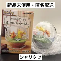 【新品未使用】リーメント テラリウム 駆け巡るパルデアの世界へ シャリタツ