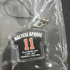 MALTESE APOGEE OSAKA HAI マルターズアポジー　大阪杯