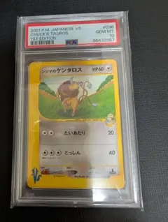 psa10 世界161枚 シジマのケンタロス カードe ★VS 036 no1 2026年最新】シジマのケンタロスの人気アイテム - メルカリ