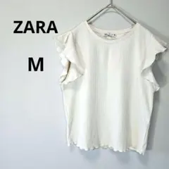 Item thumbnail for item acfa0193-c78e-4e02-a50e-b683331ca19a