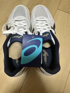 Item thumbnail for item be1deee3-b817-4f20-8cdd-9dfe6a4ea1fe