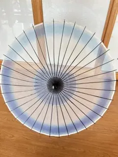 Item thumbnail for item 58e62d91-1867-4e5f-9961-4f7ed8c7d09d