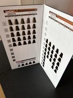【白髪/グレイカラー用】 WELLA コレストンパーフェクトヘアカラーチャートのサムネイル