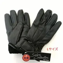 Item thumbnail for item 0728dbd3-0a41-45cb-af98-e6253858c9ea