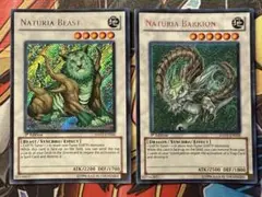 遊戯王英語版 ナチュルシンクロセット シークレット / 1st