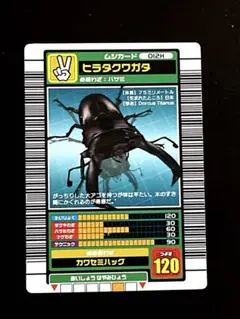初期】ムシキング パラワンオオヒラタクワガタ 2003年夏summer - メルカリ
