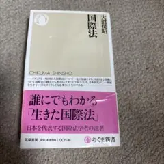 大沼保昭　国際法