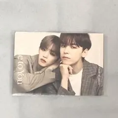 SEVENTEEN セブチ トレカ エスクプス&バーノン