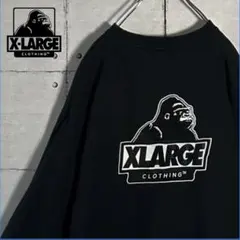 【レアモデル】エクストララージ☆バック刺繍ロゴ ブラック スウェット トレーナー