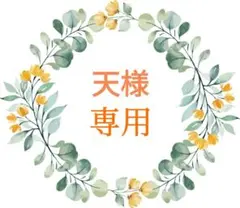 天※プロフィールご一読お願い致します様 リクエスト 2点 まとめ商品