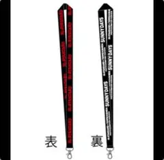 Item thumbnail for item 45d75ee7-1f3a-462e-b392-fd113060dc29