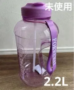 Item thumbnail for item 7a0e9e0c-4f7a-4b2f-a658-26be185a0f5b