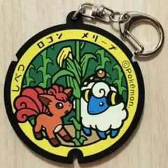 2026年最新】ポケふた ロコンの人気アイテム - メルカリ