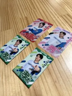 北海道日本ハムファイターズ エスコン限定 選手カード2枚　マグネット2個セット