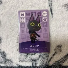 キャビア amiiboカード 034 どうぶつの森