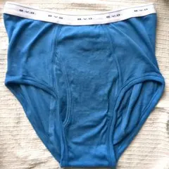 B.V.D. カラースタンダードブリーフ　ブルー　Lサイズ