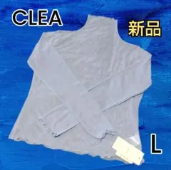 Item thumbnail for item 4b27b244-3dee-47da-bccc-46ea13e095a5