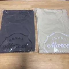 Item thumbnail for item 530acf21-c229-4653-b5aa-75de76c7a2d1