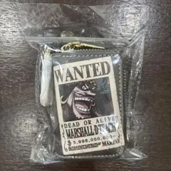 ［即発送］ワンピース マーシャル・D・ティーチ キーケース グレー