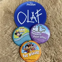WDW ウォルトディズニーワールド　缶バッジ３個