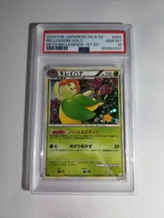 キレイハナ 海からの風 1st Edition 2002 PSA10 - メルカリ