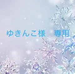 ゆきんこ様 専用