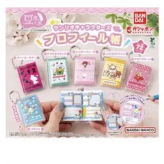 【最安値】サンリオキャラクターズプロフィール帳