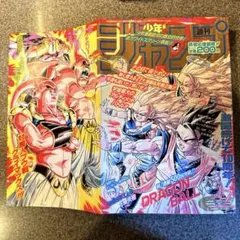 少年ジャンプ 1995年7号 ドラゴンボール折り込み変形表紙・連載500回