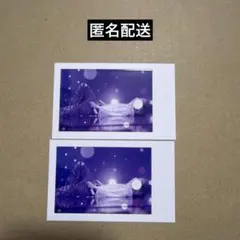 いれいす 実写チェキ 2025 初兎