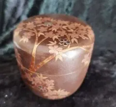 Item thumbnail for item 2cf20277-6a38-4256-9132-d523c84f88bc