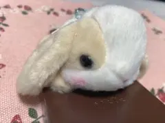 Item thumbnail for item e8fa69e0-d9d7-40f9-a1d0-2907aa77b655