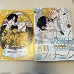 Item thumbnail for item 1f13431a-f867-4e4f-ac5f-11d04d5da380