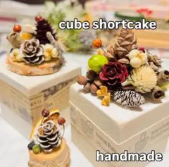 木の実達のキューブショートケーキ❤️handmade natural 3セット⭐️