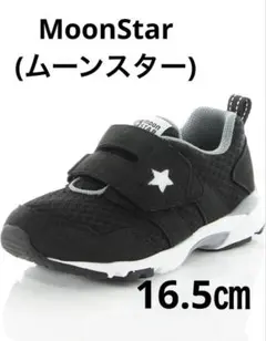 Item thumbnail for item 05d28e4b-6276-4f4a-bcec-c756c3988fb7