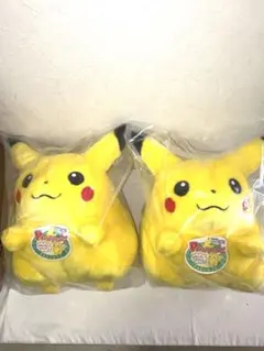 ポケモン おかえり！ピカチュウ ぬいぐるみ 2つセット - メルカリ