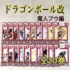 ドラゴンボール改 魔人ブウ編 全20巻 DVDレンタル落ち　全巻